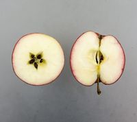 Ahrista Apple